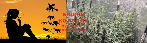 крисы Ладушкин
