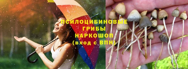 бутик Магас