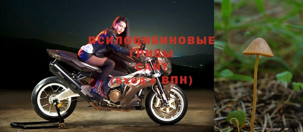 трава Сосновый Бор