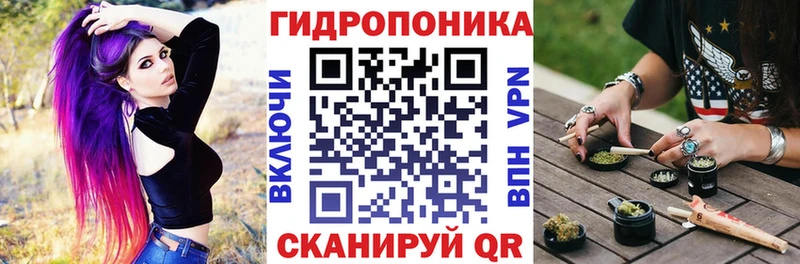 Бошки марихуана ГИДРОПОН  купить наркоту  MEGA ссылка  площадка наркотические препараты  Тимашёвск 
